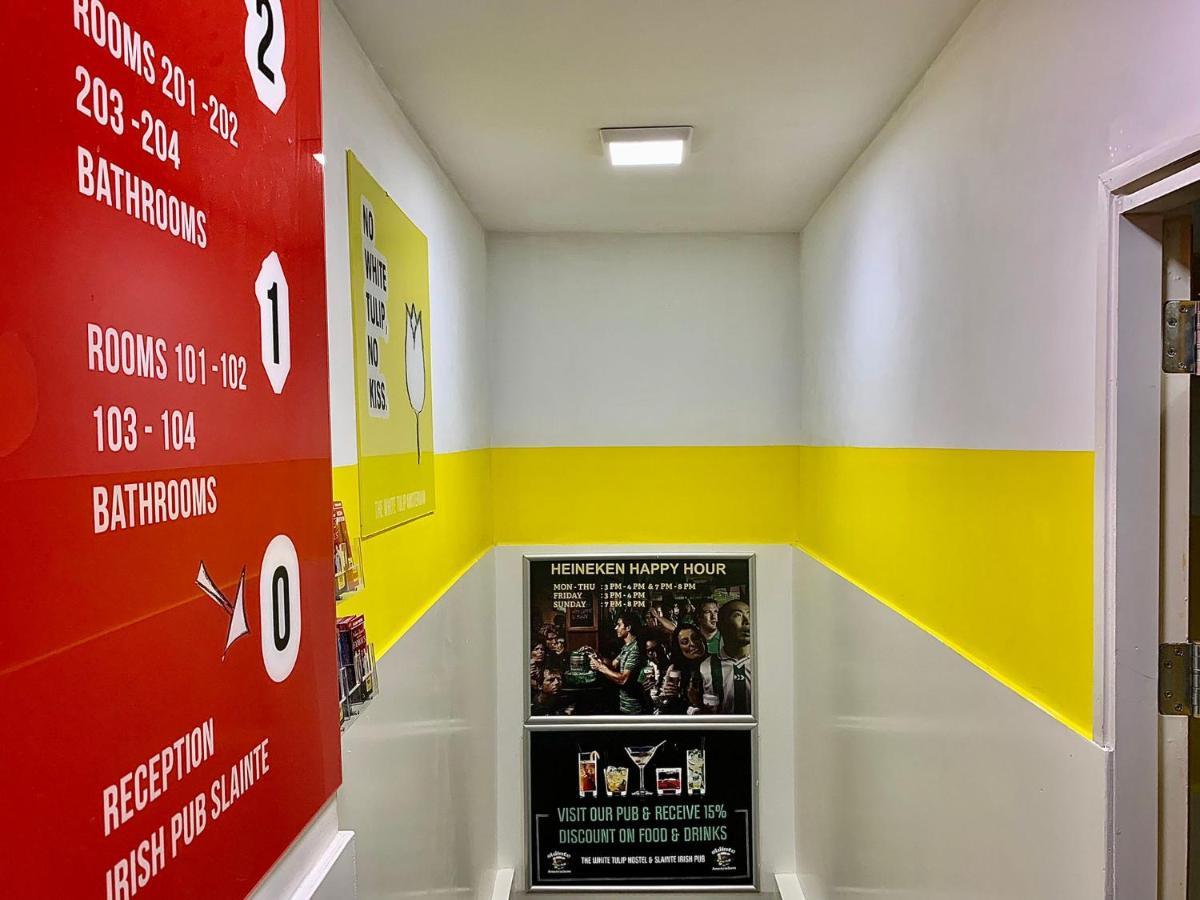 The White Tulip Hostel Άμστερνταμ Εξωτερικό φωτογραφία